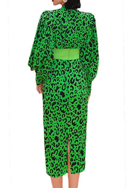 Leopard Print Dress